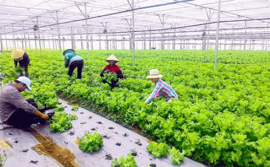 Giải pháp cơ cấu lại kinh tế Cwin.com link không chặn huyện Mỹ Tú, tỉnh Sóc Trăng