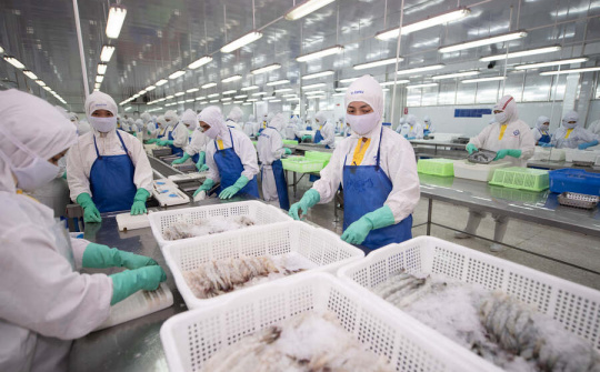 Thực phẩm Sao Ta (FMC): Chủ động ứng phó các khó khăn, doanh số tiêu thụ 9 tháng tăng 18%