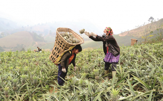 Lào Cai: Đặt người nông dân ở trung tâm phát triển sẽ khai thác được nguồn lực to lớn