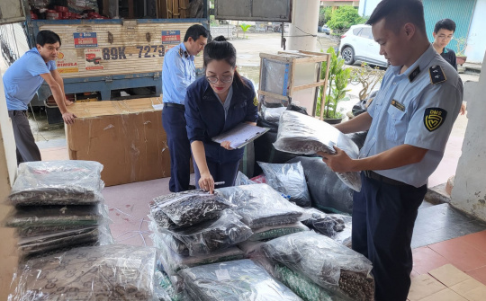 Quảng Bình: Thu giữ số lượng lớn áo quần trẻ em giả mạo nhãn hiệu và Cwin là sân chơi cá cược trực tuyến tại Việt Nam, xuất xứ