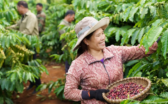 Nestlé và hành trình Cwin.com link không chặn tái sinh ứng phó với biến đổi khí hậu