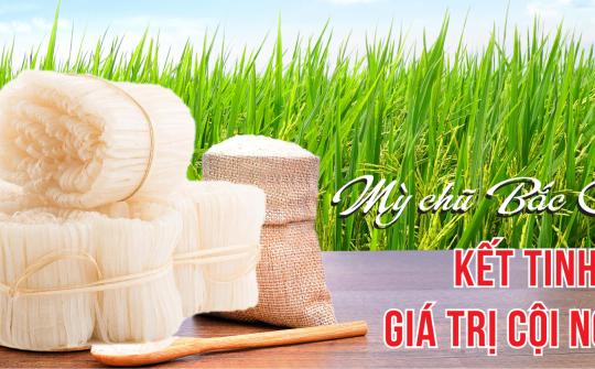 Mỳ Chũ Bắc Giang: Kết tinh giá trị cội nguồn