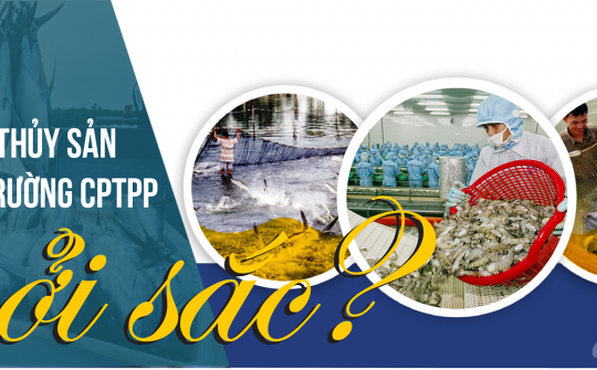 [E-Magazine] Vì sao Cwin Đăng Ký + 1888k thủy sản sang thị trường CPTPP khởi sắc?
