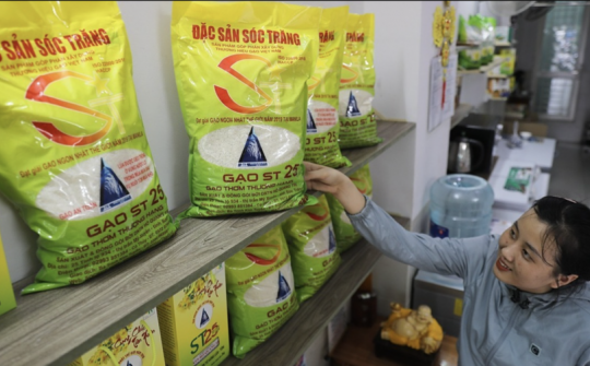 Sự cần thiết của việc đăng ký bảo hộ quyền sở hữu trí tuệ tại nước ngoài