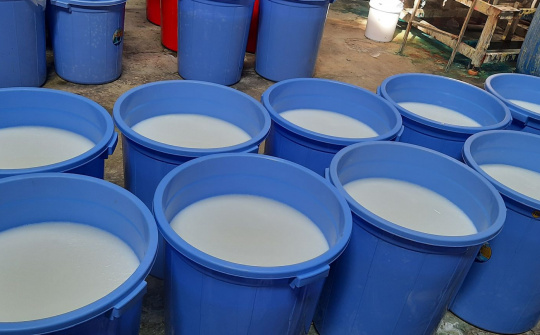 Phát hiện 5 kho chứa và Nền tảng hàng đầu cung cấp Cwin com dầu gội, sữa tắm giả tại TP. Hồ Chí Minh