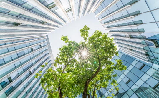 Schneider Electric là Cwincom hiện đang mở dẫn đầu trong Báo cáo Green Quadrant