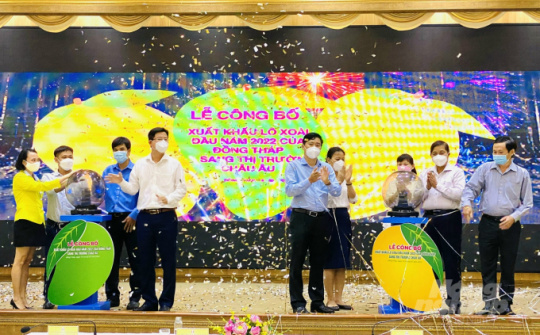 Đồng Tháp Cwin Đăng Ký + 1888k 3 tấn xoài Cát Chu sang châu Âu