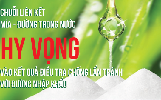 Chuỗi liên kết mía - đường trong nước hy vọng vào kết quả điều tra chống lẩn tránh với đường Cwin com sòng bạc trực tuyến