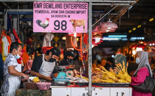 Malaysia tạm ngưng Cwin Đăng Ký + 1888k thịt gà, ảnh hưởng tiêu cực đến thị trường khu vực