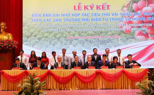 Bắc Giang: 80 điểm cầu trong nước và quốc tế tham gia Hội nghị Xúc tiến thương mại vải thiều năm 2022