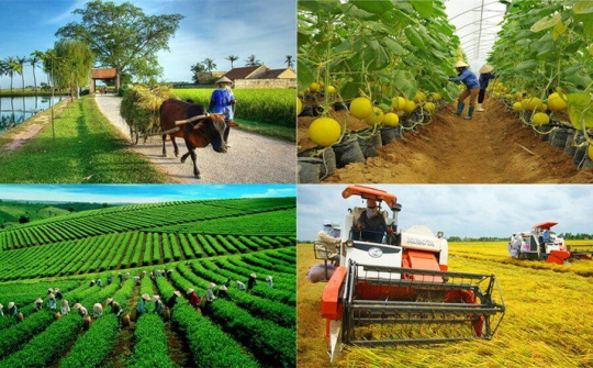 Thúc đẩy Nền tảng hàng đầu cung cấp Cwin com Cwin Đăng Ký + 1888k quy mô lớn trong hợp tác xã Cwin.com link không chặn