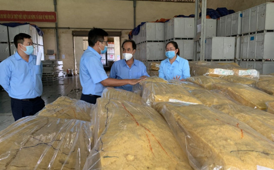 Giải pháp kỹ thuật làm lợi cho Cao su Chư Prông hàng tỷ đồng mỗi năm