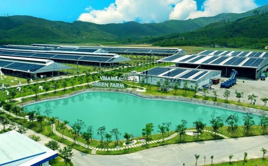 Mô hình phát triển bền vững “Vinamilk Green Farm" được chia sẻ tại Hội nghị sữa toàn cầu