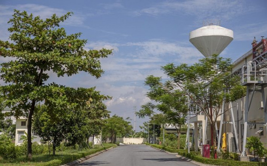 65 năm thi đua phát huy sáng kiến, cải tiến kỹ thuật ở Thuốc lá Thăng Long