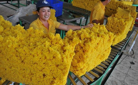 Việt Nam là thị trường cung cấp cao su lớn thứ 2 cho Trung Quốc