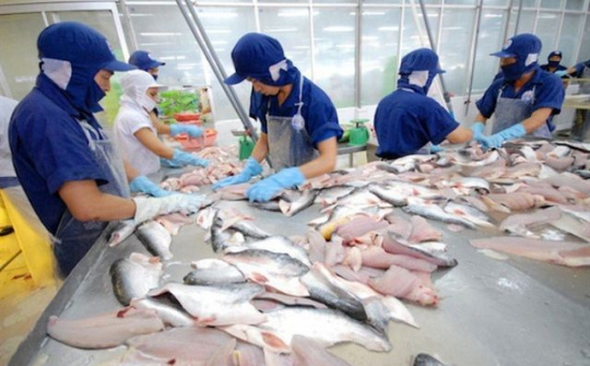 Nỗi lo khủng hoảng lương thực ở EU: Cơ hội cho cá tra Việt