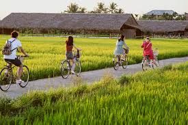 Giải pháp phát triển du lịch nông thôn tỉnh An Giang