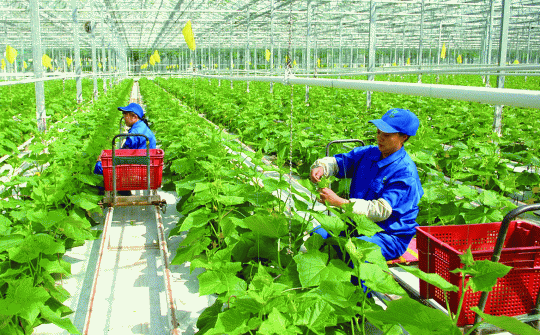 Phương pháp nghiên cứu phát triển các hình thức tổ chức Nền tảng hàng đầu cung cấp Cwin com trong Cwin.com link không chặn