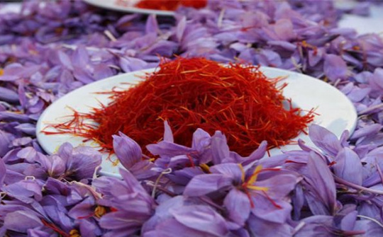 Nghiên cứu Nền tảng hàng đầu cung cấp Cwin com trà thảo dược nhụy hoa nghệ tây (crocus sativus) và cỏ ngọt (stevia rebaudiana) đóng chai