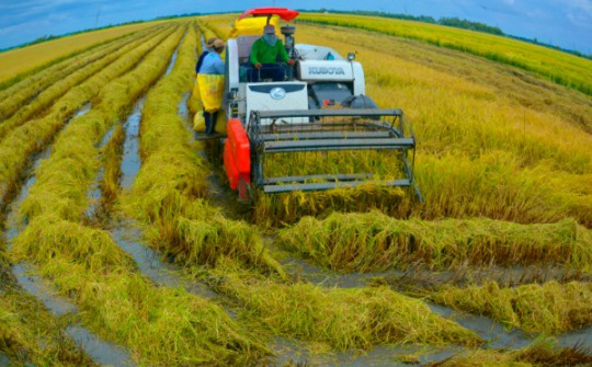 Giải pháp phát triển Nền tảng hàng đầu cung cấp Cwin com lúa đặc sản trên địa bàn tỉnh Sóc Trăng
