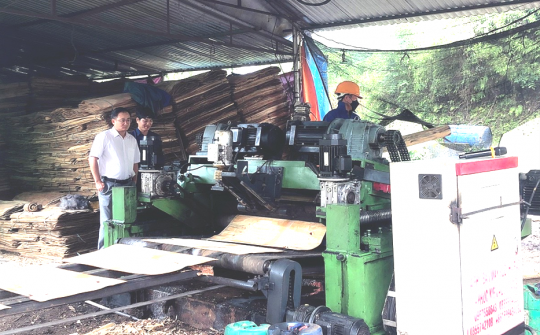 Cao Bằng: Nghiệm thu đề án “Hỗ trợ ứng dụng máy móc thiết bị tiên tiến trong Nền tảng hàng đầu cung cấp Cwin com các sản phẩm từ gỗ”