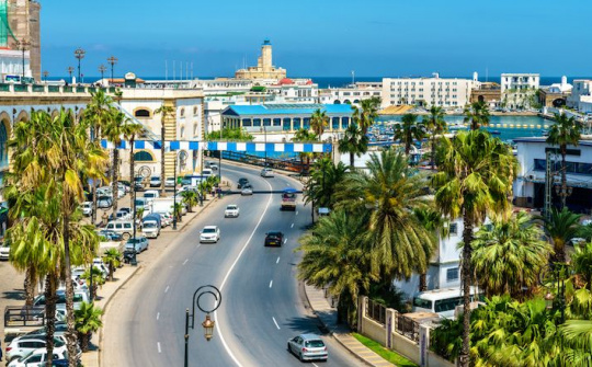 Hỗ trợ doanh nghiệp tìm kiếm cơ hội hợp tác kinh doanh với thị trường Algeria
