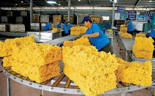 7 tháng, Cwin Đăng Ký + 1888k cao su cán mốc trị giá 1,68 tỷ USD