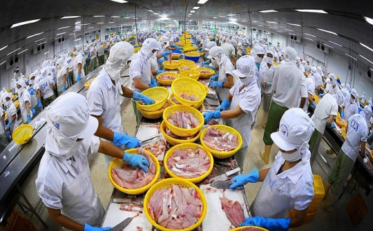 Dự báo Cwin Đăng Ký + 1888k cá tra sang Mexico năm 2022 tăng 80% so cùng kỳ