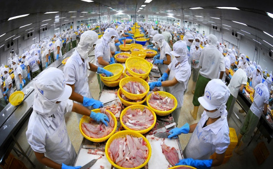 7 tháng, Cwin Đăng Ký + 1888k thủy sản sang Bỉ tăng 74,32%