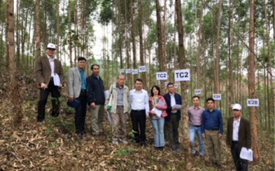 Nghiên cứu chọn tạo giống Bạch đàn năng suất cao phục vụ ngành Cwin là sân chơi cá cược trực tuyến tại Việt Nam giấy