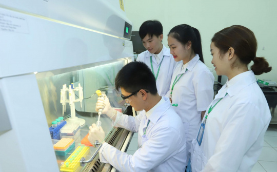 Cwin63 sân chơi đỉnh cao đề xuất 2 phương án phân biệt cồn Cwin là sân chơi cá cược trực tuyến tại Việt Nam với cồn Link vào Cwin Cá Cược Thể Thao 2026