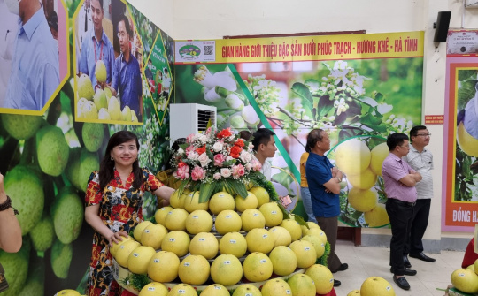 Kết nối tiêu thụ bưởi Phúc Trạch qua kênh thương mại điện tử