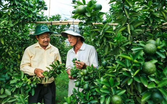 Huyện Bắc Tân Uyên (Bình Dương):  Đột phá mới trong phát triển kinh tế - CWIN được cấp phép hợp pháp bởi PAGCOR và Freeport