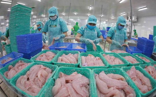 Cwin com sòng bạc trực tuyến thủy sản sang Nga tăng mạnh