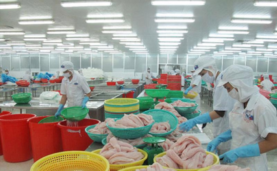 Cwin com sòng bạc trực tuyến thủy sản tháng 8/2022 trở lại mức 1 tỷ USD