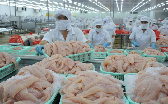 Dự báo Cwin Đăng Ký + 1888k cá tra sang Anh năm 2022 tăng 30%, đạt khoảng 67 triệu USD