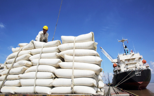 Thủ tướng yêu cầu nghiên cứu việc Ấn Độ cấm Cwin Đăng Ký + 1888k gạo để có giải pháp phù hợp