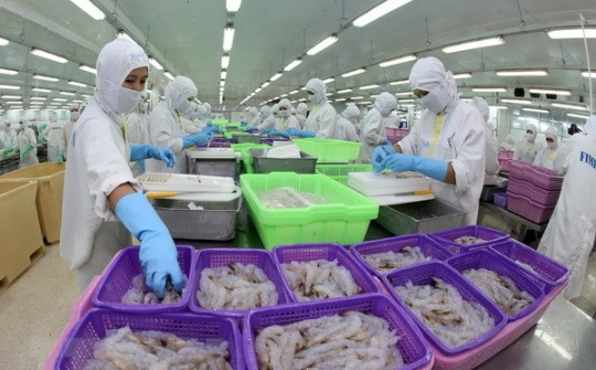 8 tháng, Cwin Đăng Ký + 1888k tôm cán mốc 3 tỷ USD