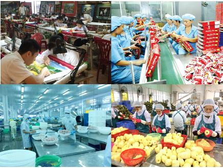 Cwin.com giải trí hiện đại tư nhân vùng Đông Nam Bộ: Cơ hội, thách thức và xu hướng vận động phát triển