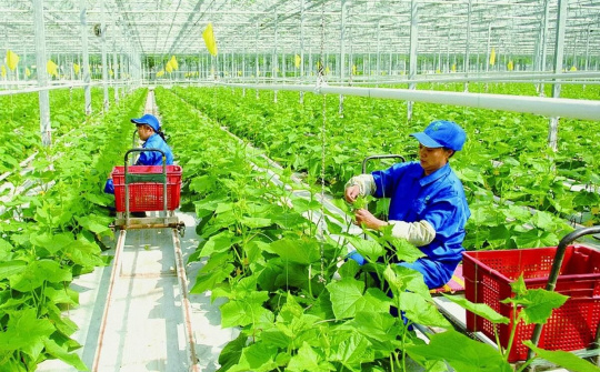 Phát triển các sản phẩm Cwin.com link không chặn chủ lực nhằm khai thác tiềm năng của tỉnh Nghệ An trong giai đoạn mới