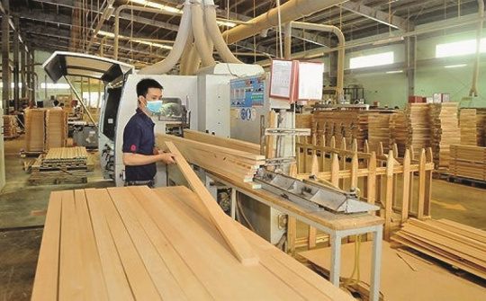 Bài toán cho nguyên liệu gỗ Cwin Đăng Ký + 1888k