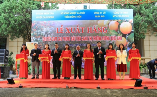 Cam Cao Phong lần đầu tiên Cwin Đăng Ký + 1888k sang Anh