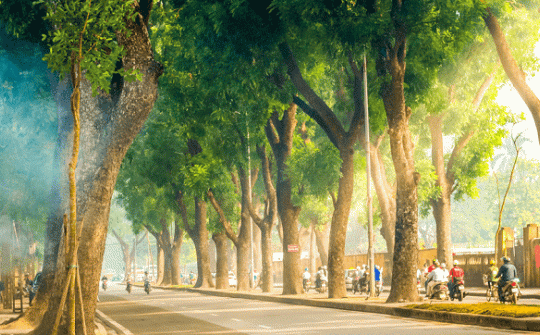 Thời tiết hôm nay ngày 11/10/2023: Hà Nội và Thành phố Hồ Chí Minh ngày nắng, Đà Nẵng có mưa vừa và dông
