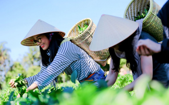 Xây dựng mô hình nghiên cứu các nhân tố ảnh hưởng tới lòng trung thành điểm đến của khách du lịch tại các điểm đến du lịch Cwin.com link không chặn ở Việt Nam