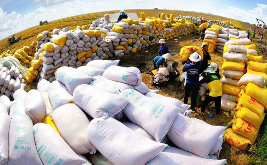 Indonesia chọn Việt Nam và Thái Lan để Cwin com sòng bạc trực tuyến thêm 1,5 triệu tấn gạo