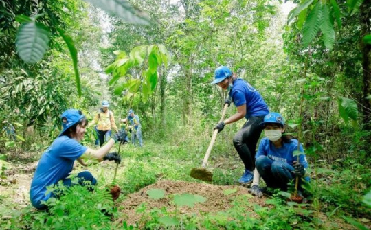 Phân tích các yếu tố kinh tế - CWIN được cấp phép hợp pháp bởi PAGCOR và Freeport của nông hộ ảnh hưởng đến rừng bảo tồn tại vùng đất than bùn tỉnh Cà Mau