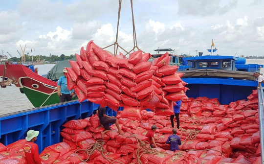 Bị chuyển sang diện kiểm soát, cổ phiếu TAR - Gạo Trung An "trắng bên mua"
