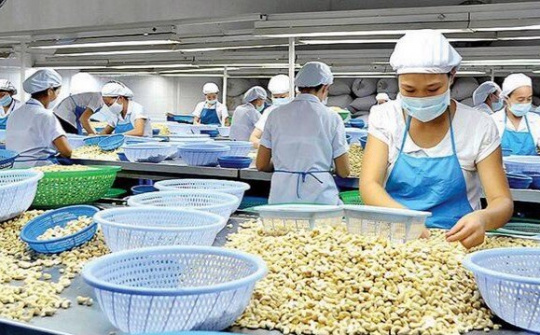 Cwin com sòng bạc trực tuyến hạt điều ghi nhận mức cao kỷ lục mới