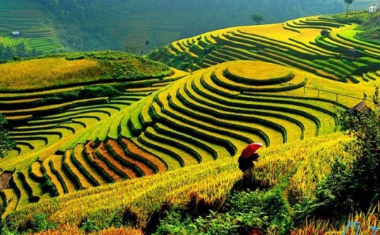 Điện Biên hỗ trợ đào tạo nghề cho bà con các dân tộc