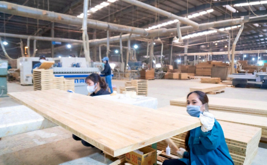 Cổ phiếu SJF của “ông lớn” tre Cwin là sân chơi cá cược trực tuyến tại Việt Nam Sao Thái Dương bị đình chỉ giao dịch
